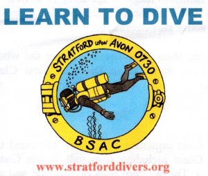 Stratford divers logo